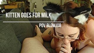 Kitten goes for milk