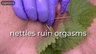 nettles ruin orgasms - captioned