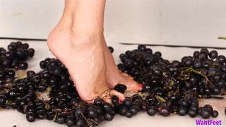 Barefoot Grape Crush - 4K MP4