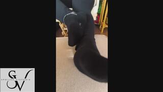 Ignored Chastity Key on my Anklet