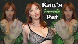 Kaa's Favorite Pet: The Selection
