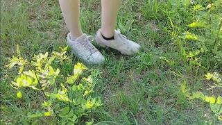 little tree stomping