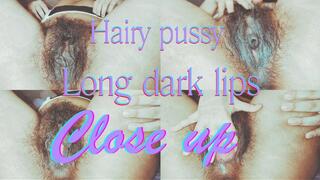 Hairy pussy and long dark labia : close up