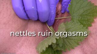 nettles ruin orgasms - uncaptioned