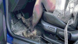 HOT PREMIERE: Jeannette gets stuck in the mud behind the wheel of her car MP4