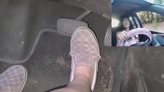 Daisy's Muddy Misadventures-looking for the lake