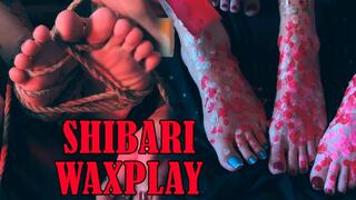 Ritual de Shibari e Cera Quente nos Pés