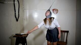 SCHOOLGIRL PANTYHOSE HEAD ENCASEMENT