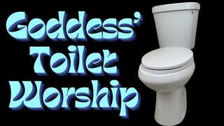 Goddess' Toilet Worship - Verbal Humiliation Fart Fetish Watersports Ass Worship Domination Waste Human Toilet Garbage Muncher Fart Farting Piss Pee