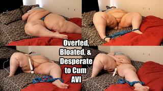 Overfed, Bloated, & Desperate to Cum (AVI)