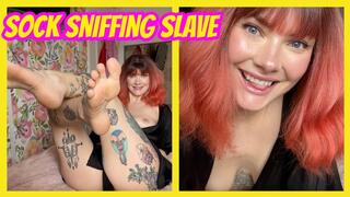 Sock Sniffing Slave