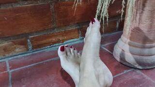 Pronounced arches and toes of the goddess Roxan (3)