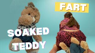 Fart-Soaked Teddy