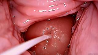 Creampie Me Over and Over