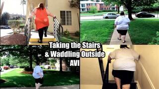 Taking the Stairs & Waddling Outside (AVI)