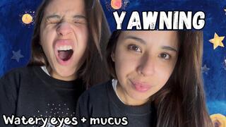 Do you want me to pass on my yawns to you?