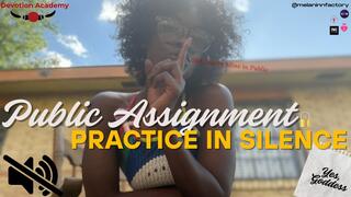 Public Assignment: Practice in Silence