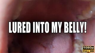 KingMarti: Found A Tiny And Lured Him Into My Belly - Vore - FHD 1080p