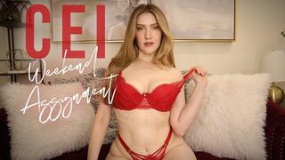 CEI Weekend Assignment