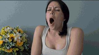 Yawning of Lory 22 b