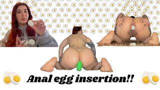 Anal egg insertions