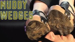 CC - Muddy wedges