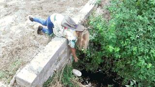 Walking in slippers AVI (1920x1080) FHD