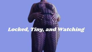 Locked, Tiny, and Watching