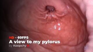 [HD 60 FPS] - A view to my pylorus - ENDOSCOPE VORE