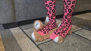 Teddy sock play