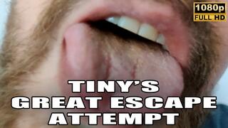 KingMarti : Tinys Great Escape Attempt - Giant Vore - Full HD 1080p