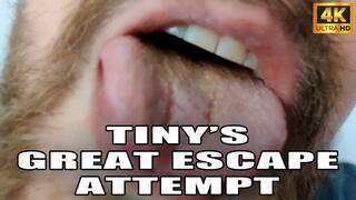 KingMarti : Tinys Great Escape Attempt - Giant Vore - 4k UHD 2160p