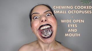 CHEWING COOKED SMALL OCTOPUSES - WIDE OPEN EYES AND MOUTH (Video request)