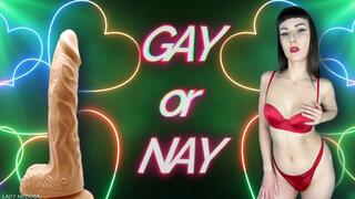 Gay or Nay: Eye Contact Challenge – Faggot Humiliation