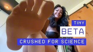 beta Male DNA Harvest: Tiny is Crushed for Science