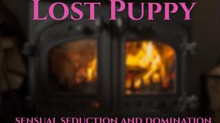 Lost Puppy (Good Girl Version)