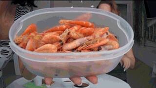We eat shrimp and the next you can be Jb