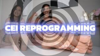 CEI Reprogramming
