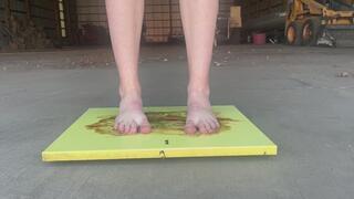 Femboy Explorer's Accident at the Glue Factory