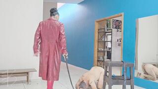 Whipped and pegged by Ama K the Goddess in Red