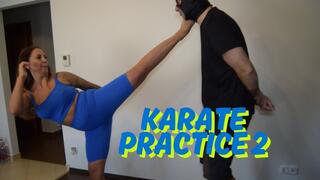Karate practice 2