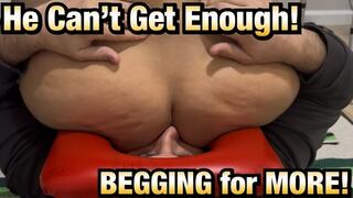 He's Begging For More!