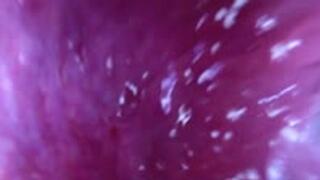 giantess - Colossal Conquest: Tiny Cuck & Giant Slave Domination, female domination, POV, anal vore 1080