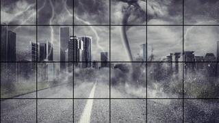 LP-273cs -Kim Chi Gets A Taste