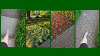 1 MINUTE CLIP OUTDOOR BOTANICAL GARDEN WALK ASMR