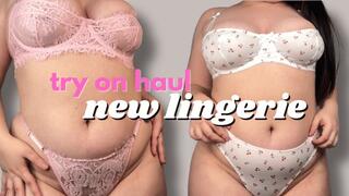 Try On Haul New Lingerie NSFW