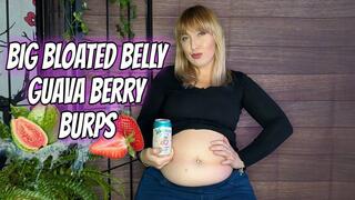 Big Bloated Belly Guava Berry Burps