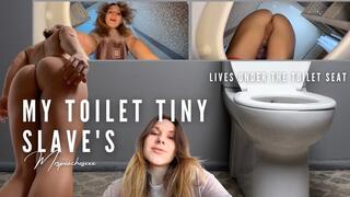 My Toilet Tiny Slave's - LIVES UNDER THE TOILET SEAT