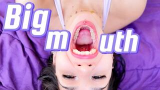 Mouthplay Obsession: 9CM Stretch, Hooks & Play