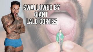 Swallowed by Giant - Lalo Cortez